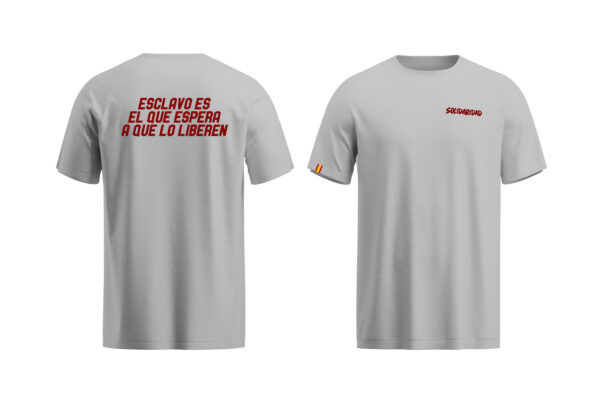 Camiseta tipo 1